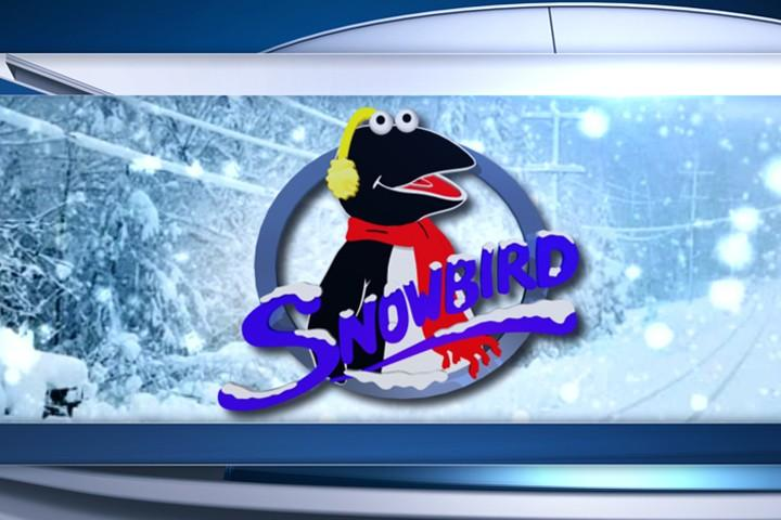 WSMV Lays Off Snowbird